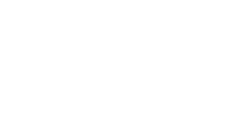 BRASFORCE