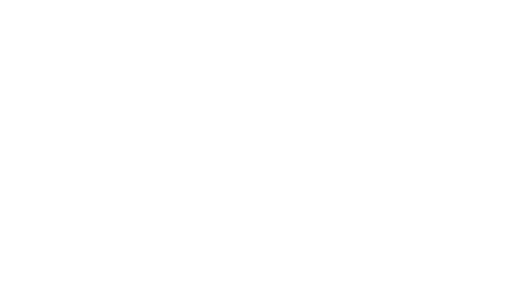 BRASFORCE