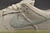 SB Dunk Mummy