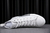 Dior B23 High Logo Oblique en internet