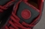 SB Dunk The Riot