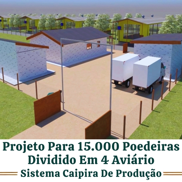 Projeto Personalizado Completo De Aviario Para 15.000 Poedeiras - comprar online