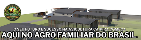Carrossel 1