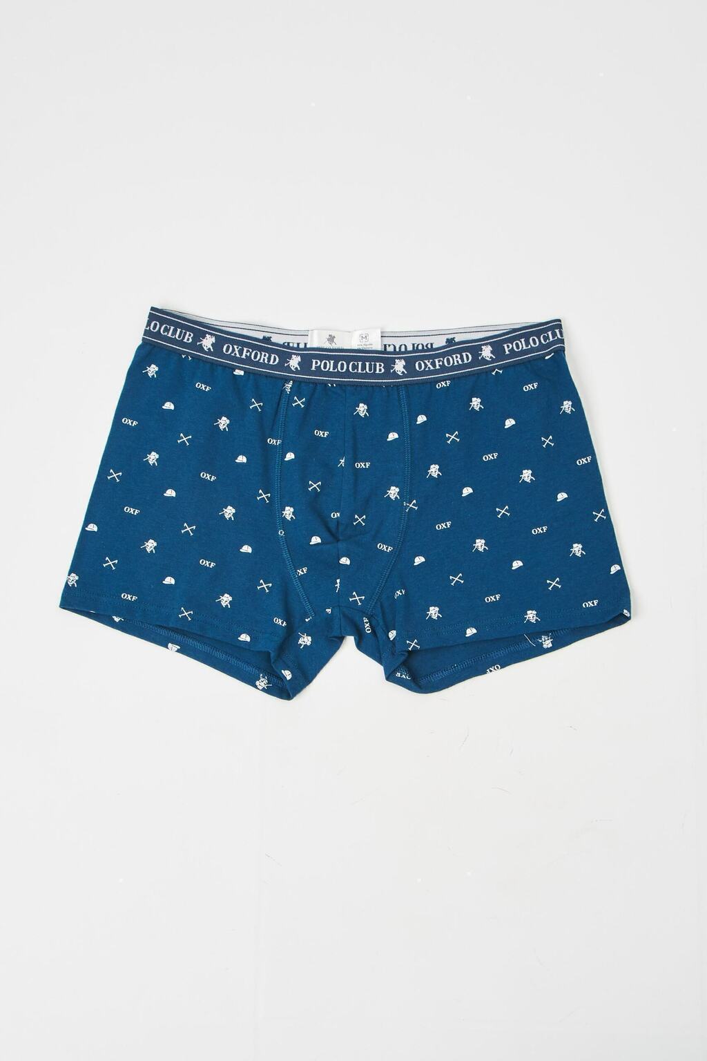 BOXER INDIANA en internet