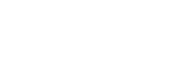 Alsina Neumáticos