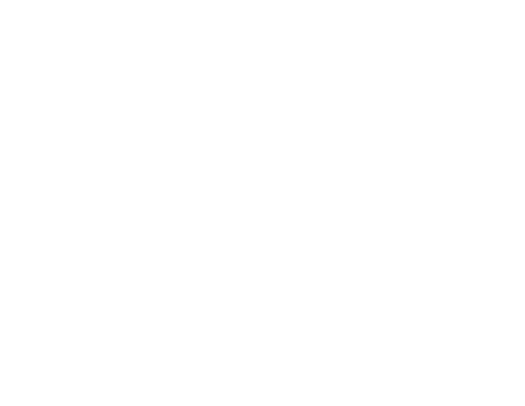 Caminha Acessórios