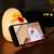Luminária Pato com Chapéu KR102 na internet