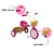 Triciclo Infantil Nathor Princesas Rosa em Alumínio - Plataforma Baby