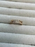 Anillo AD