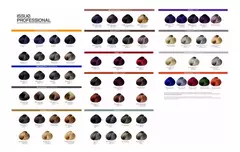CARTA DE COLORES PC Y NS MECHAS - comprar online