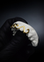 Grillz snake en internet
