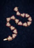 Imagen de Hearts Link