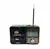 Rádio AM/FM Retrô 616 - Lelong /55 - comprar online
