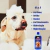 Kit Completo Anti-Pulgas / Carrapatos / sarnas e vermes : Shampoo, Ivermectina e Sabonete | Proteção Garantida! - loja online