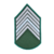Insígnia Bordada Verde EB - Primeiro Sargento (Par)