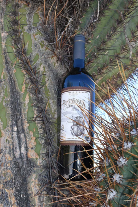 Ponzoñosos Ogros'23 - GranCorte - caja de 6 botellas