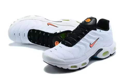 Air Max Plus TN 1 Nerf