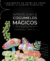 Carrusel Magic Mushies