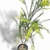 Melaleuca - comprar online