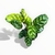 Calathea Makoyana S en internet