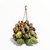Begonia Brasilera L - comprar online