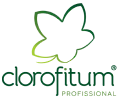 Clorofitum Pará de Minas