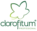 Clorofitum Pará de Minas