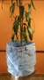 Cestão Organizador Jeans na internet