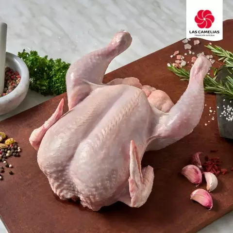 Pollo entero eviscerado con menudos (precio por 20 KG)