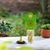 Cono Citronella Anti Mosquito Tao - comprar online