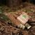 Sahumo Palo Santo y Mirra Sagrada Madre - comprar online