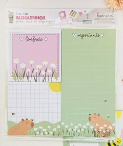 TRIO DE BLOQUINHOS - CAPIVARA - comprar online