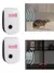 Eletrônico Ultrasonic Pest Repeller, Pest Repeller, Mouse, Rato, Barata, Dispos