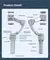 Handheld Gimbal Estabilizador para Celular, 3 Eixos, Luz de Preenchimento, Rastr - comprar online