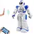 Imagem do Robô Smart Wesley caminha, dança com sensor de Gestos