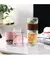 High-Quality Double Glass Infuser Water Bottle with Case - buy online