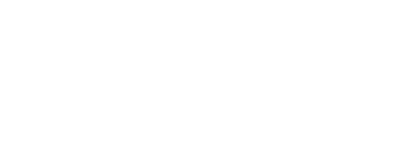 The Way Store