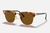 Rayban Clubmaster Carey/Marrón Liso