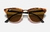 Rayban Clubmaster Carey/Marrón Liso - tienda online