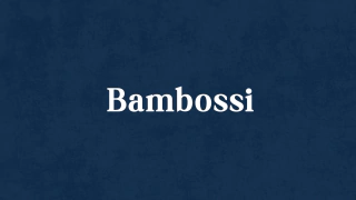 Bambossi