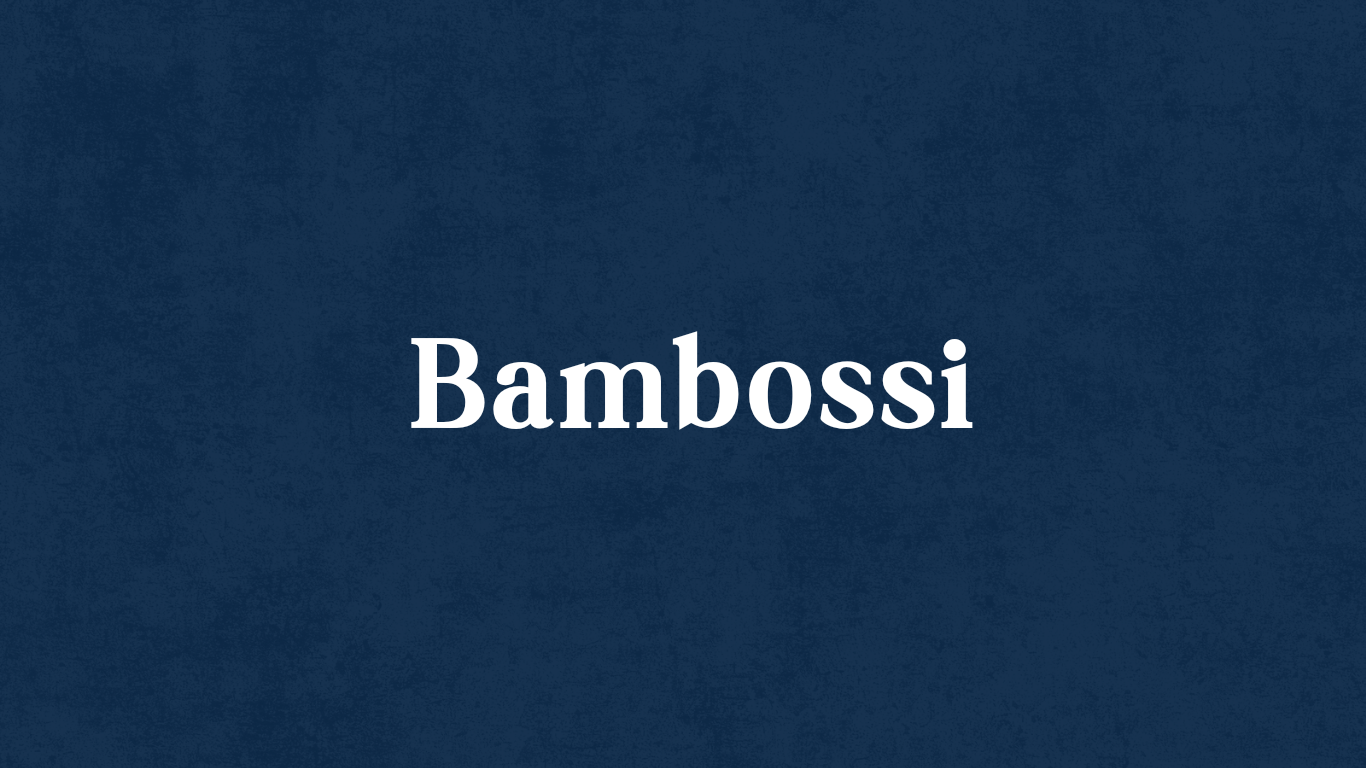 Bambossi