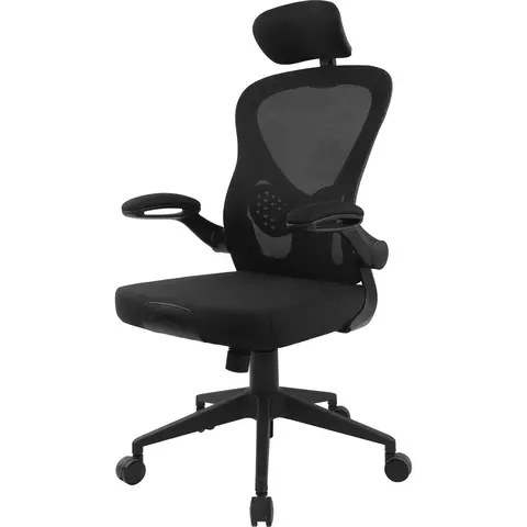 Cadeira Ergonômica Fortrek Ergo Base Escritório Mesh Preta