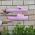 CHINELO NUVEM