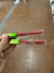 Labiales huda