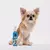 Limpa e Hidrata Patinhas Au.Migos Pets 120ml - comprar online