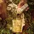 Refil Arbo Forest Desodorante Colônia 100ml - loja online