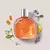 Celebre Agora Feminino Desodorante Colônia 100ml - comprar online