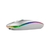 Mouse Nextep Inalámbrico Recargable Delgado/Silencioso RGB 1600 dpi Color Plata