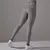 Imagem do Calça Legging Fitness Feminina Aligator