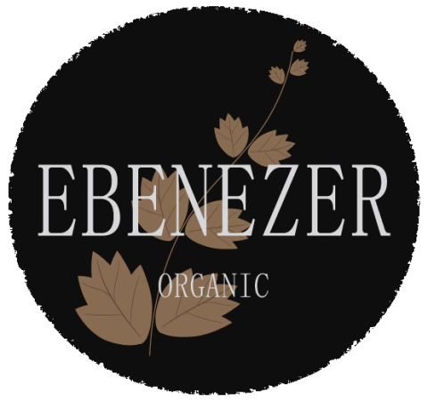 ebenezer